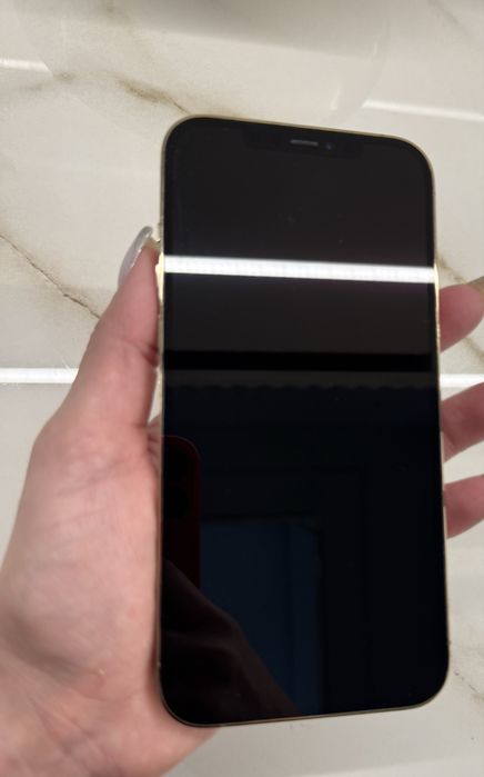 Iphone 12 pro max 256 gb