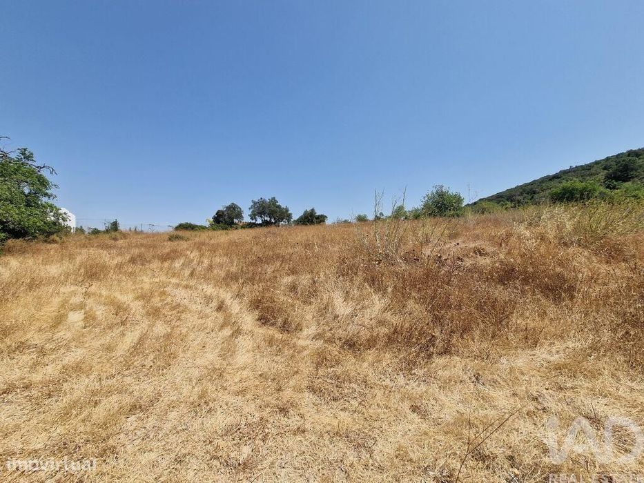 Terreno Agrícola em Santa Bárbara de Nexe