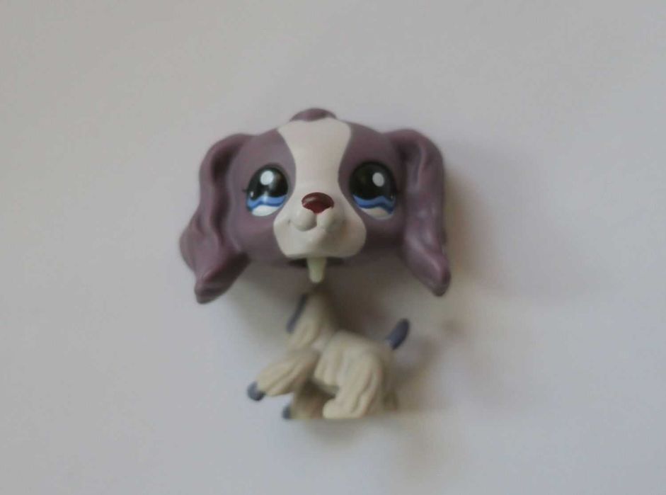 Fioletowy spaniel littlest pet shop