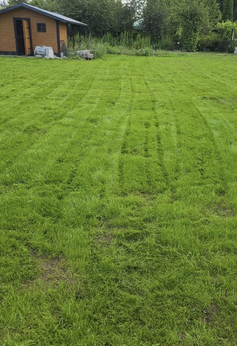 2 Działki Sawanna w Ochli