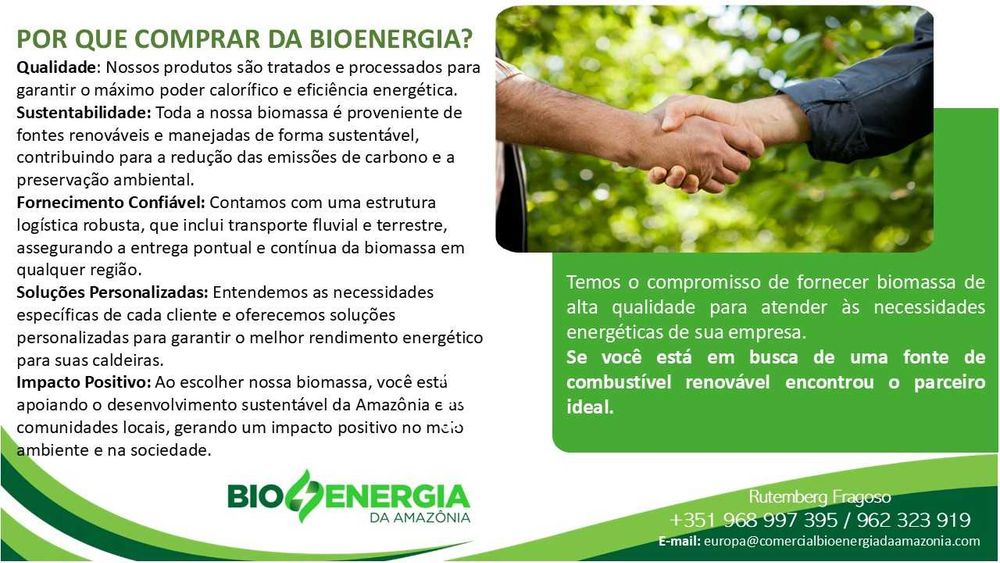 Caroços de Açai  para combustão. BIOMASSA