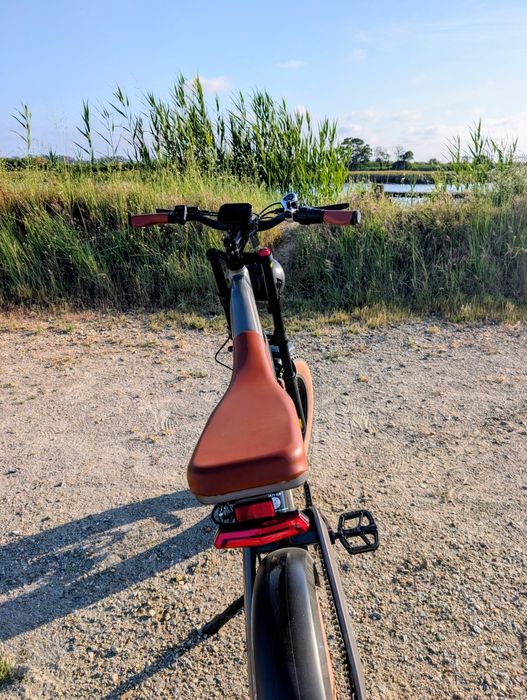 Bicicleta Elétrica estilo Moto DYU M20 - Nova (só 15KM de uso)