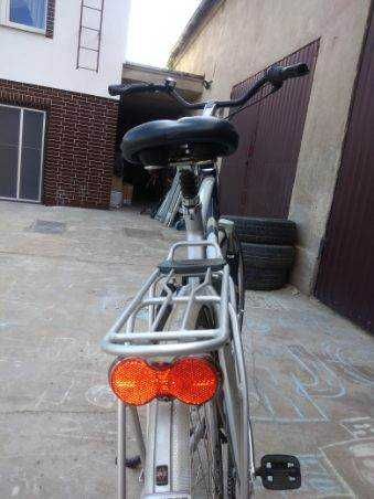 Rower model Trek L300