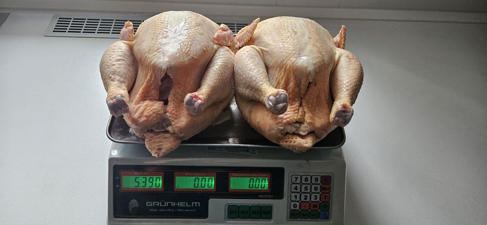 Продам тушки бройлера