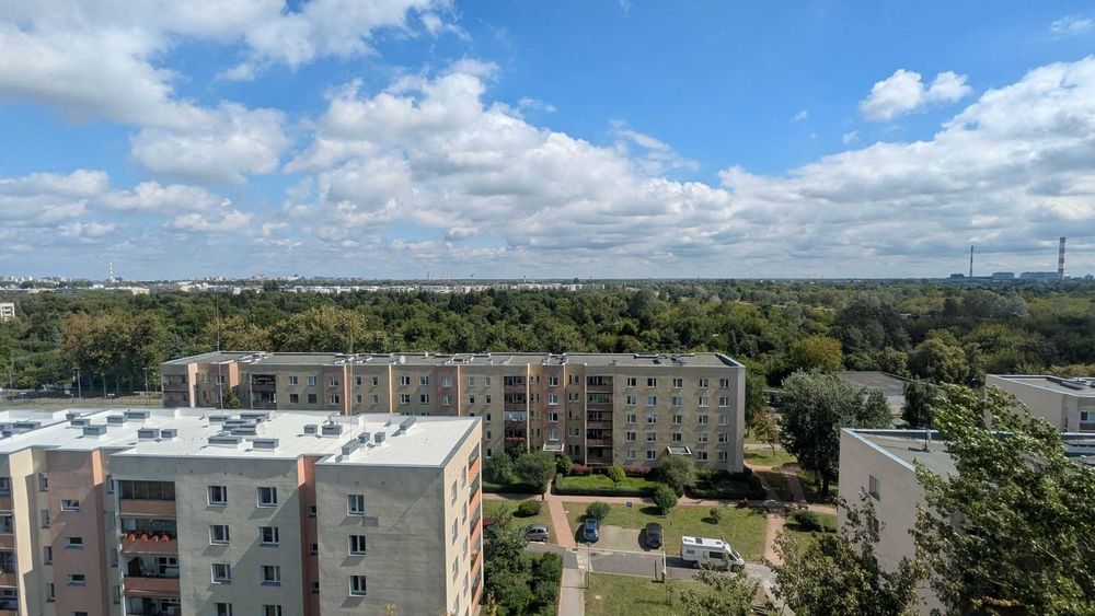 Zdjęcie 8
