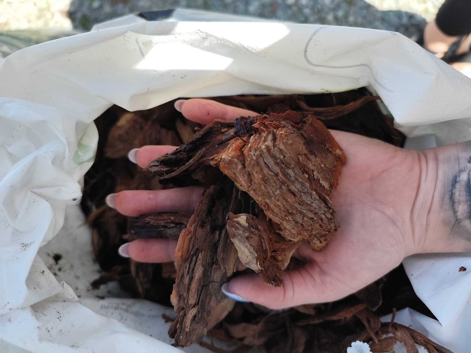 KORA ogrodowa SOSNOWA  80L GRUBA Sortowana kde