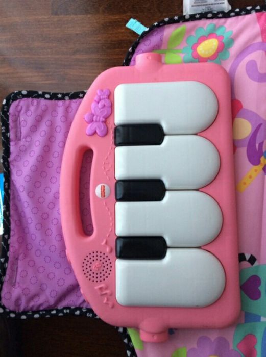 Ginásio da Fisher price menina.