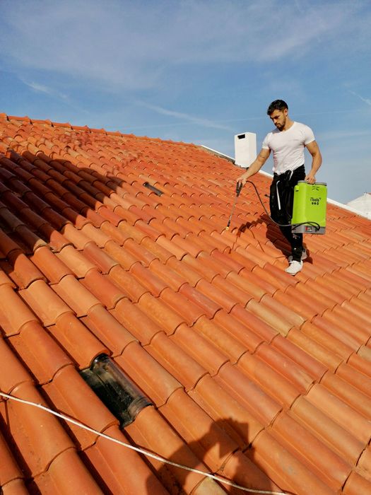 Pintura | Lavagem de telhados | Remodelações