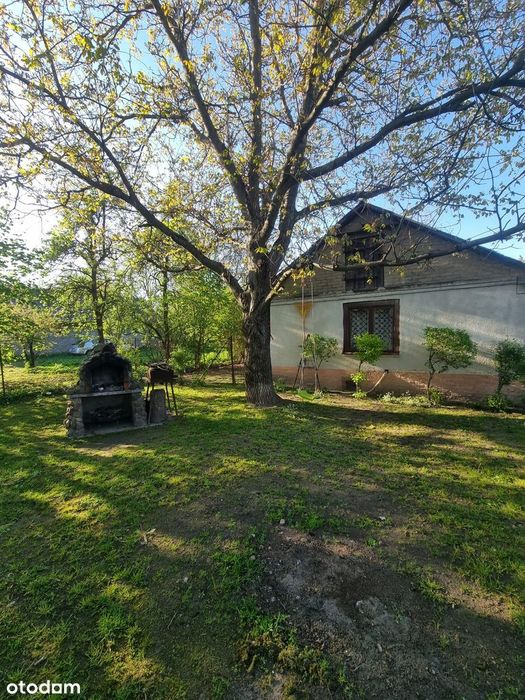 Siedlisko, dom, budynek gospodarczy, stodoła - Widok 5