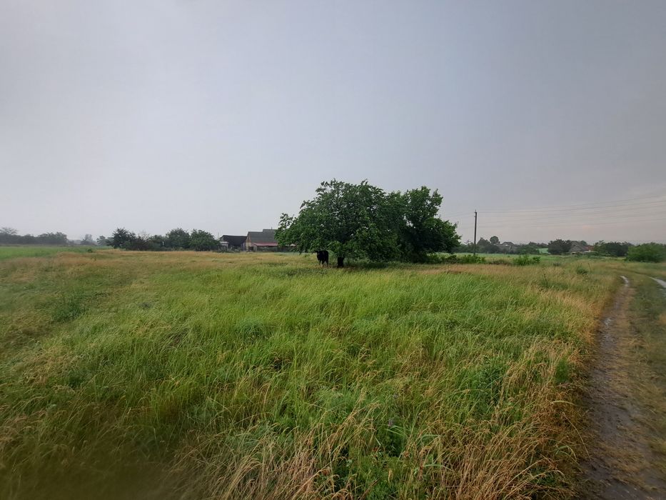 Земельна ділянка с. Військове, Дніпропетровська область