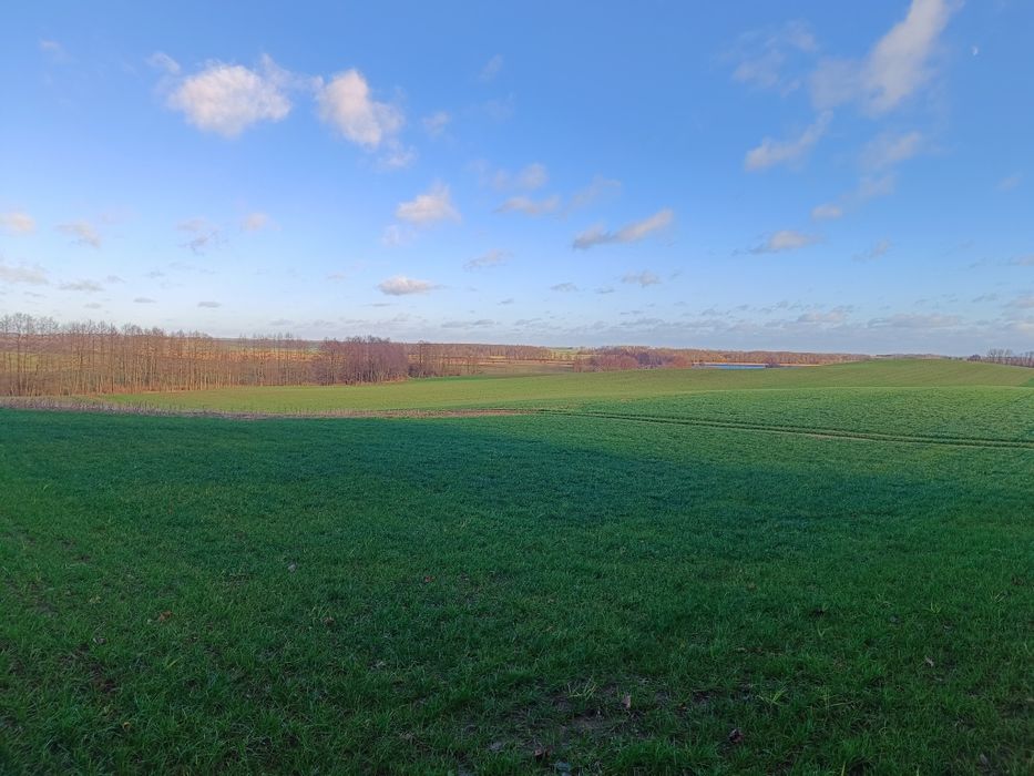 Ziemia rolna 12,55 ha - Widok 2
