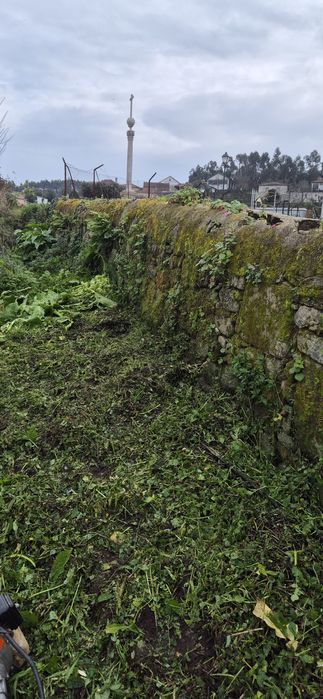 Limpeza de mato e erva