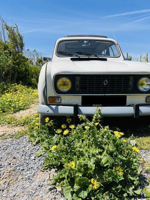 Renault 4L tecto de abrir