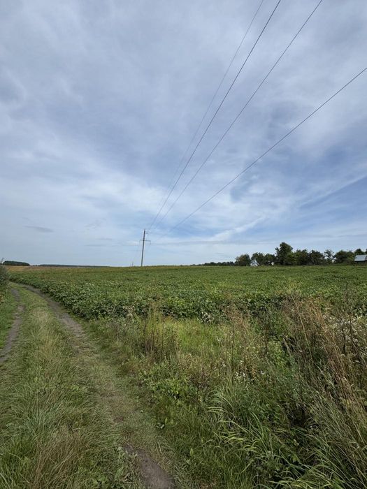 Продаж будинку  по вул. Польова в с.Заболоття 60 сот. землі