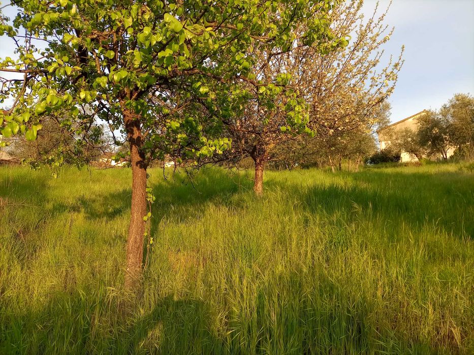 Terreno urbanizável na Rua da Barroca do Bicho - Peso, Covilhã