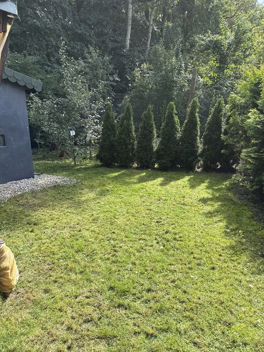 Zdjęcie 8
