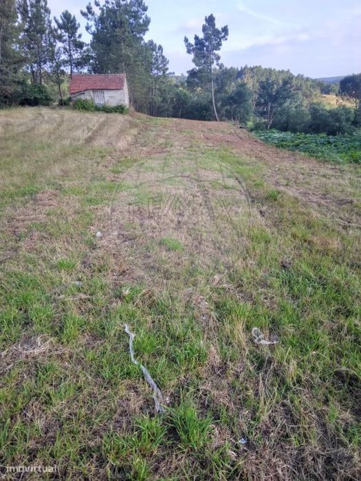 Terreno  para venda