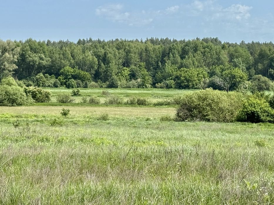 Продам 82сотки землі !!!  с.Мироцьке