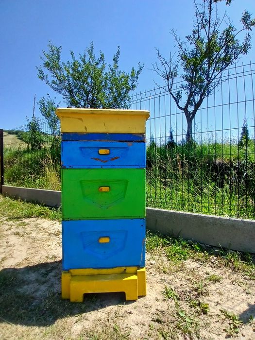 Sprzedam ule wielkopolskie