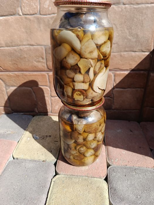 Білі засоленні гриби 1 літер