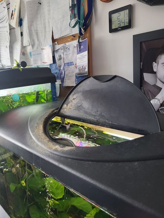 Akwaria z roślinami