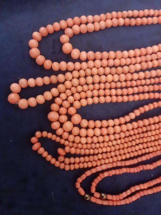 Корали. Справжні. На різний смак.