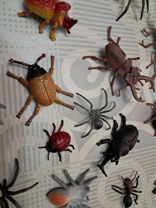 Vários insectos/aranhas