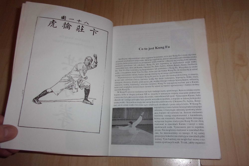 Hung gar kung fu -potęga południowej pięści Łoziński