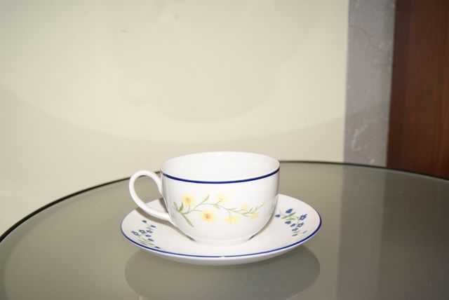 Porcelana Ćmielów Polska