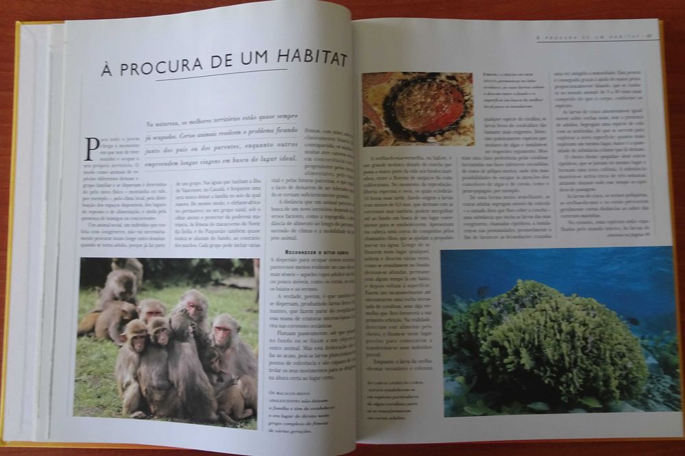 A Vida Secreta dos Animais