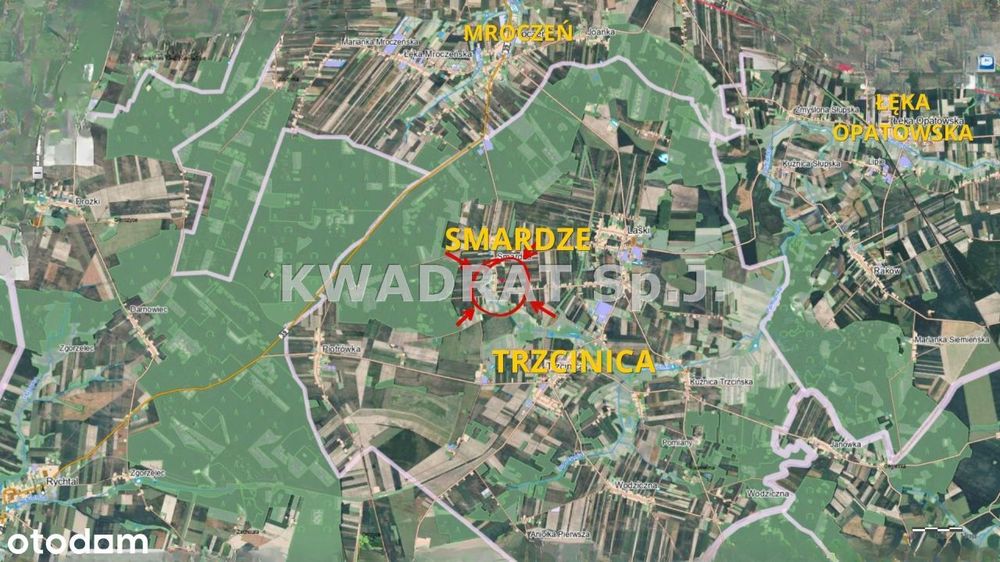 1277 m²/Smardze/Trzcinica/aktualne Wz - Widok 4