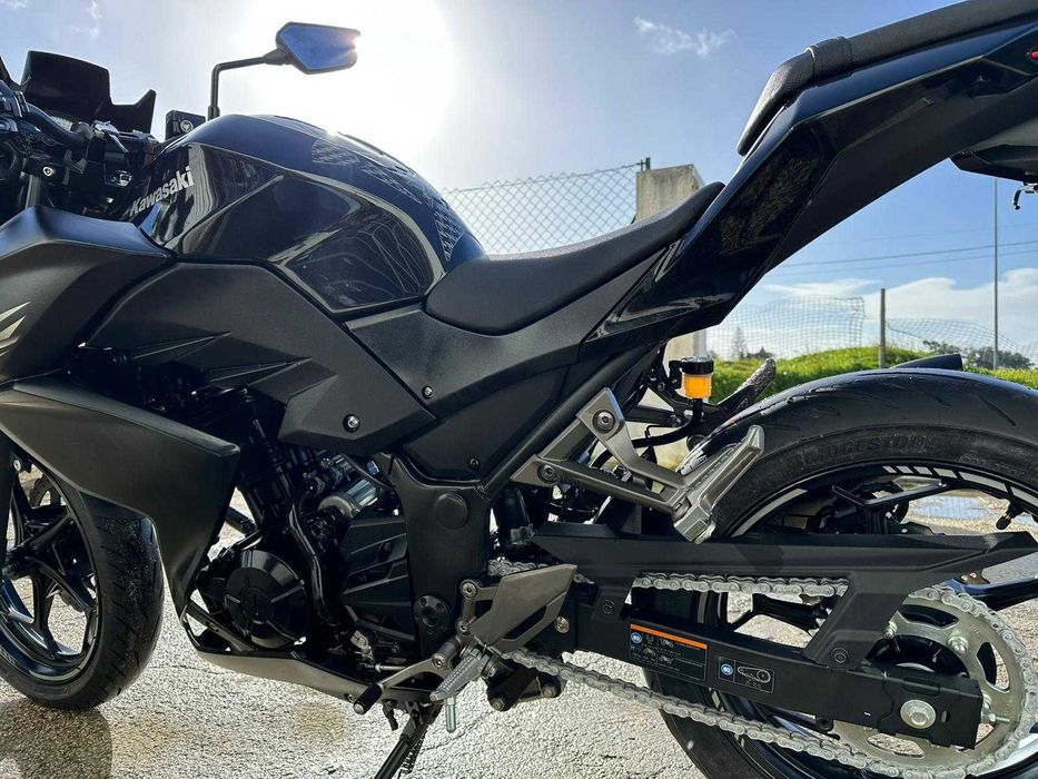 Kawasaki Z300 Performance 2017