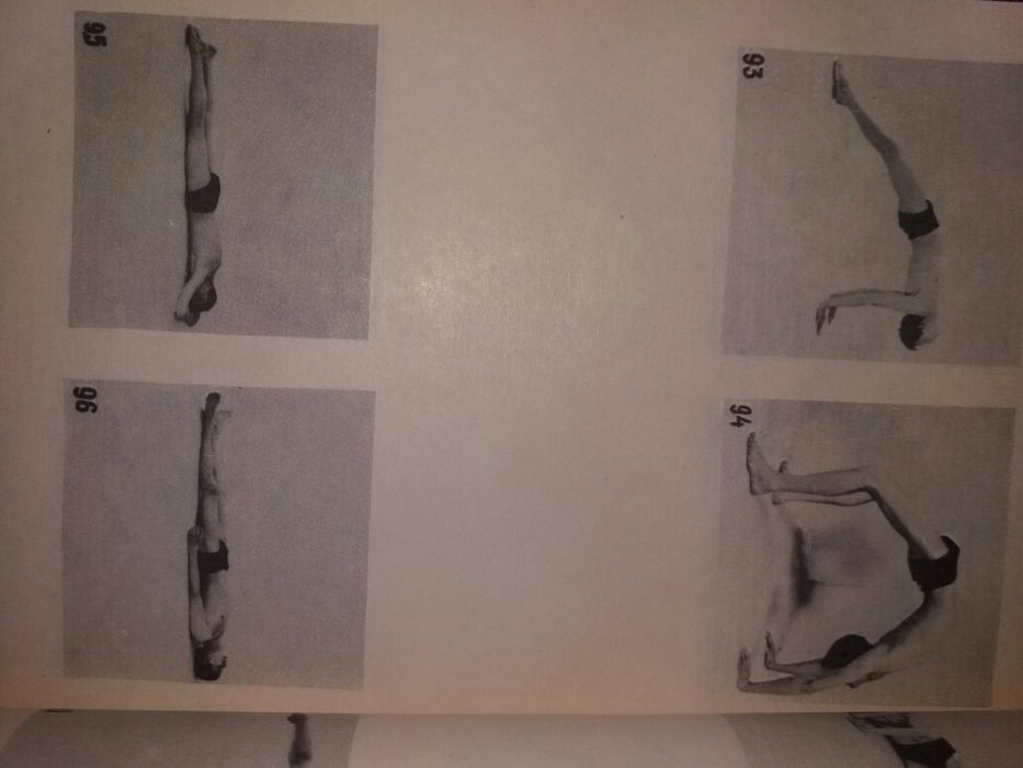 Учебник Васильев Т.Э. начала хатха йоги йога