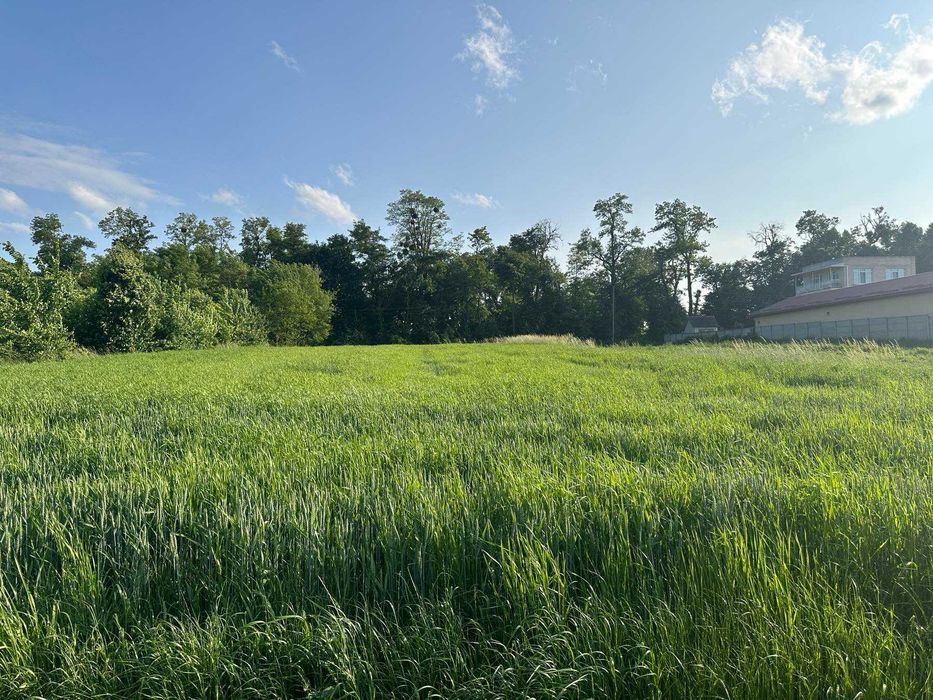 (5) Продам земельну ділянку в Лукашівці 4422