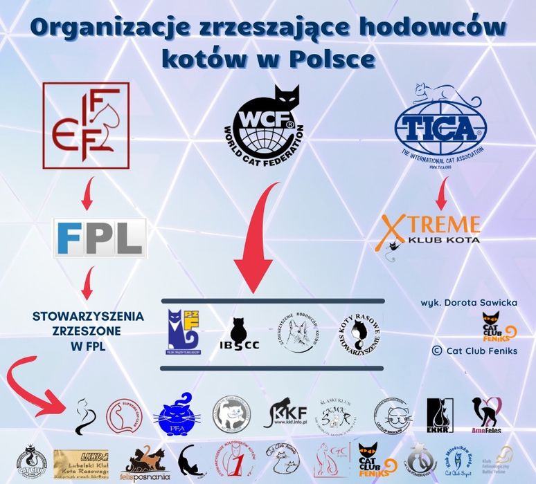 Kocurek Neva Masquarade Kot Syberyjski