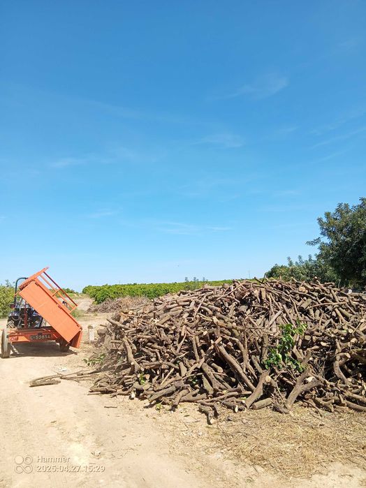 Serviços agrícolas/Agricultural services, land clearing