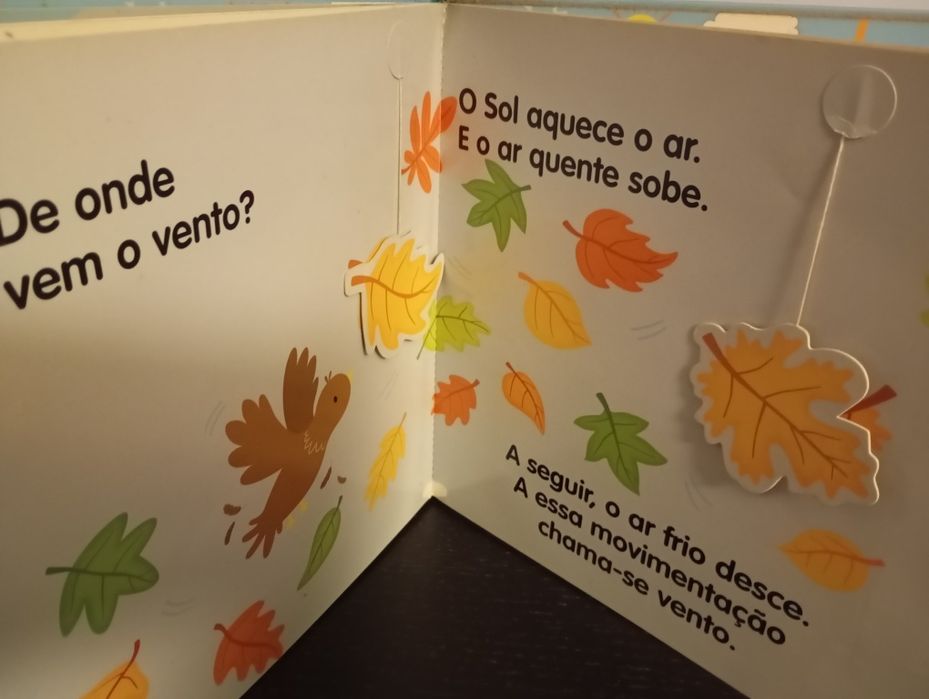 Livro- Como está o tempo?