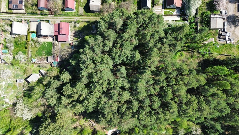 Продаж земельної ділянки 14 соток в сосновому лісі, Глеваха, Боярка, Іванків СТ Радуга поляна