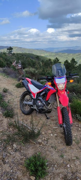 Honda CRF  300 L