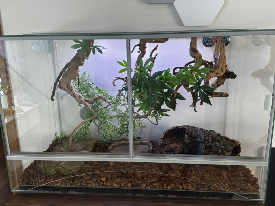 Terrarium 80x50x40 z wyposażeniem