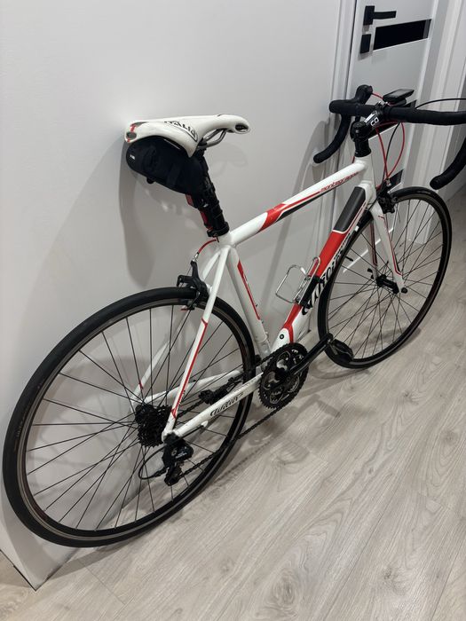 Rower szosowy Wilier Trestina