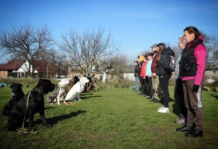 Кінолог.Навчання собак