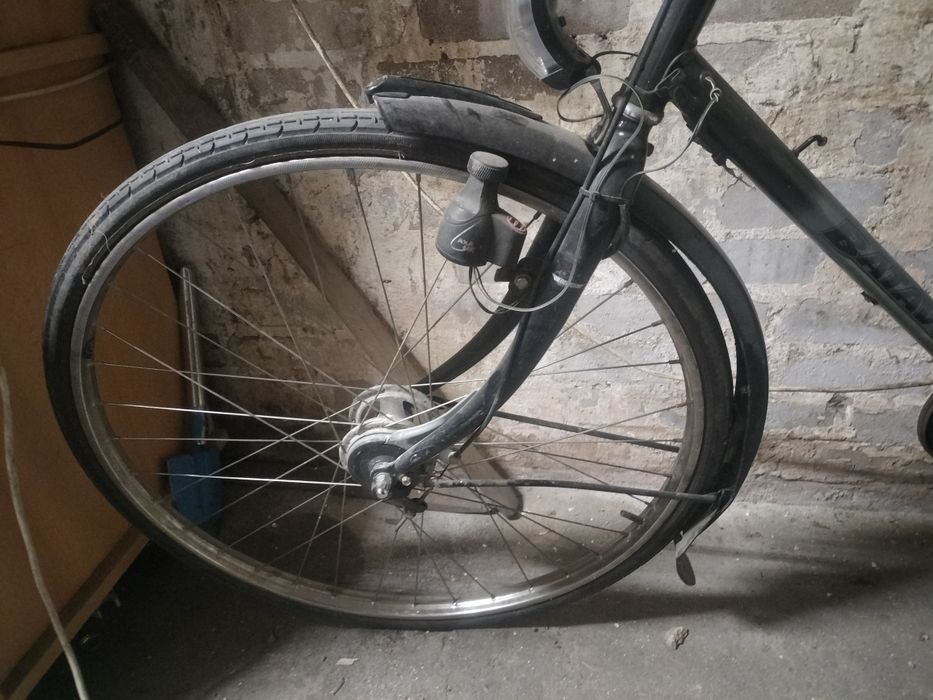 Rower batavus.     .