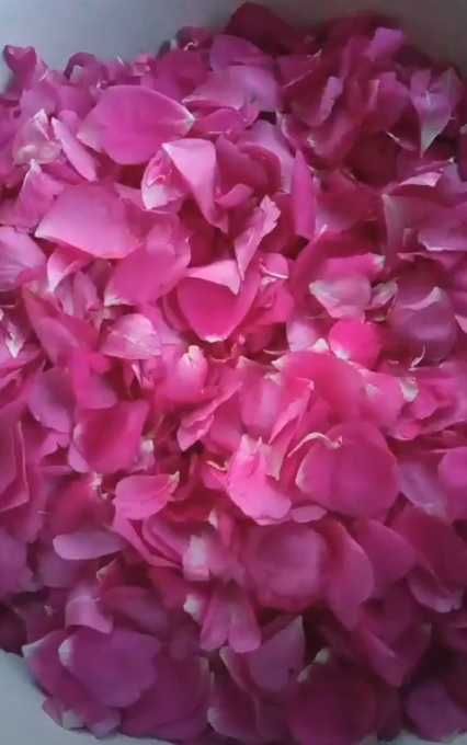 Варення з пелюсток троянди з ружі рожі роза безкоштовна доставка