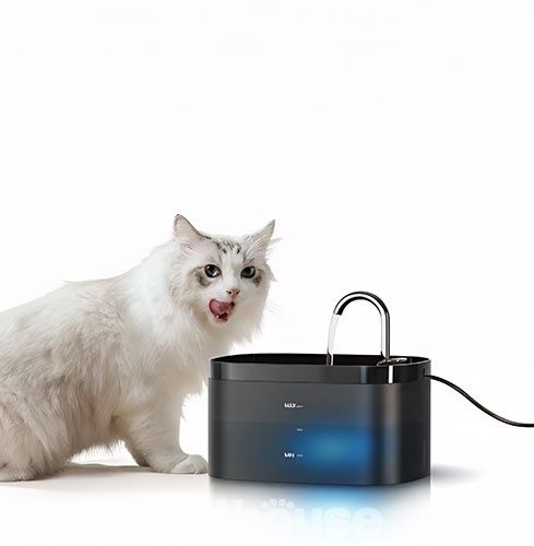 Автоматична поїлка-фонтан Petwant PW-115 для котів