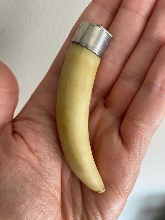Dente de Cachalote