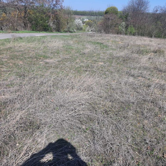 Земельный участок Цена 500$ за сотку