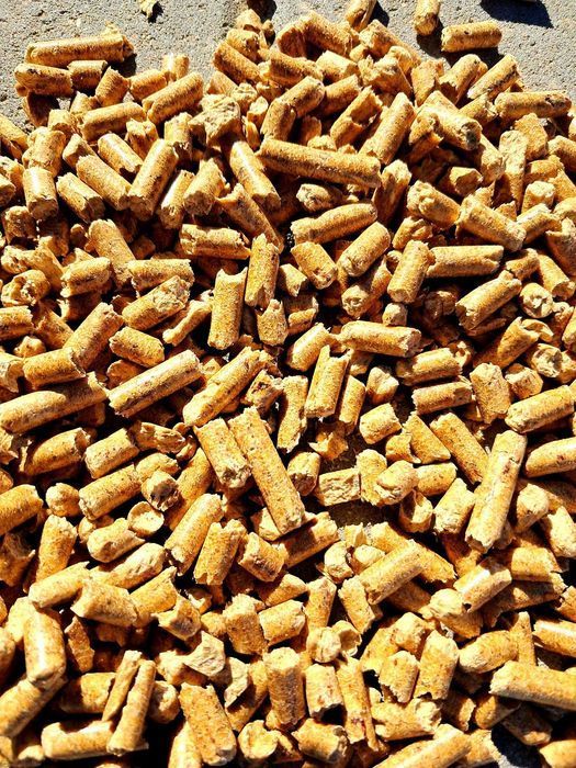 Pellet Premium ENplus A1 – 100% Sosna | Producent DREWAR | Transport