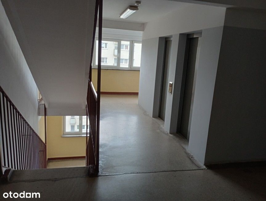 3 pokoje, Żoliborz, Balkon, Piwnica, 48,5 m² , Bezpośrednio - Widok 3