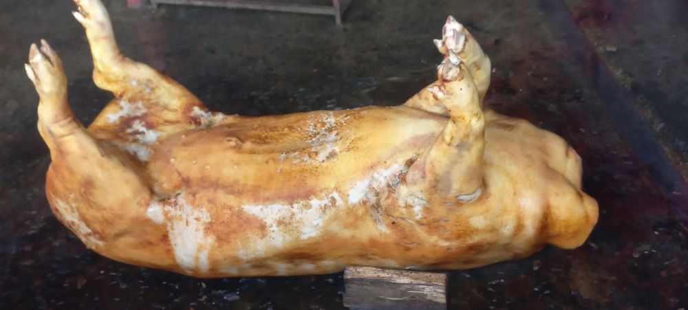 Забійний цех реалізує свинину з сертифікатами якості!!!